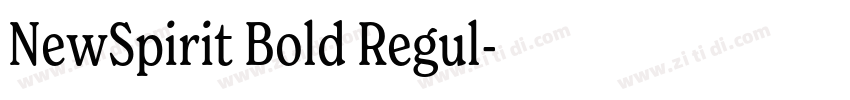 NewSpirit Bold Regul字体转换